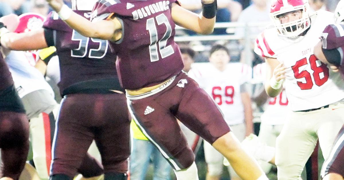 Wolverines Ufs Wolverines start season on a good note | Sports | starkvilledailynews.com