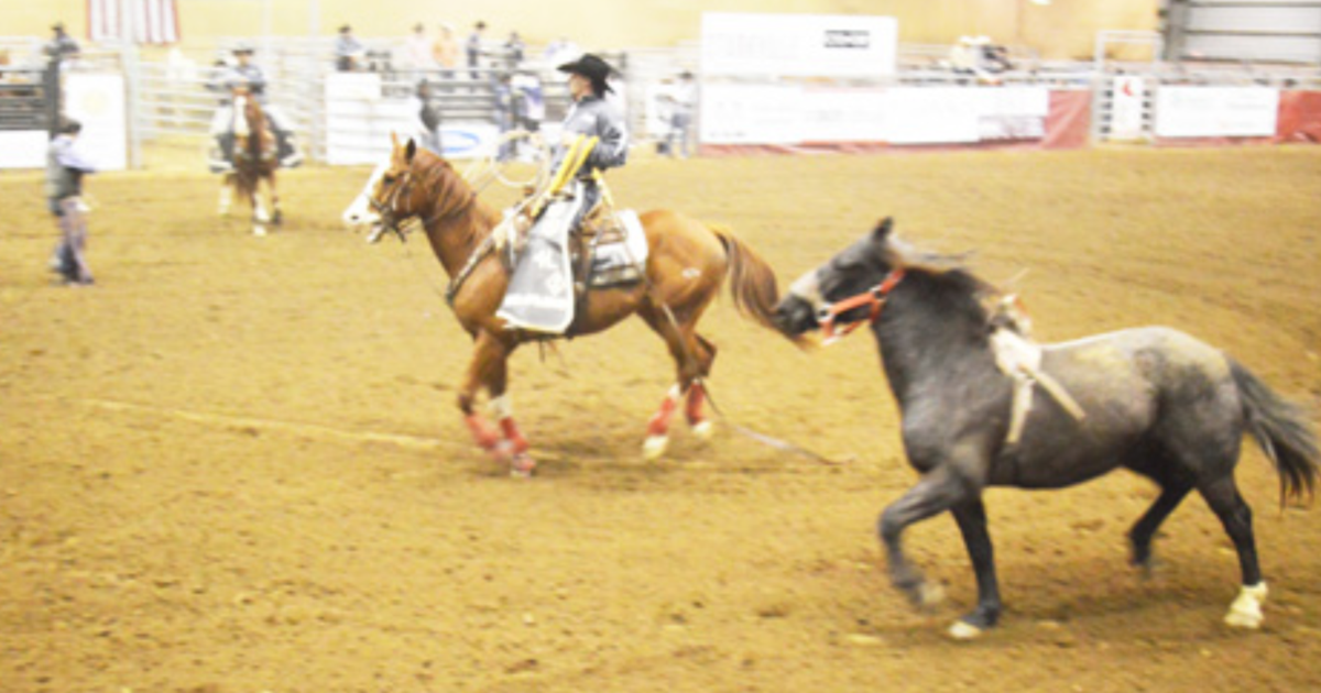 Annual Rotary Classic Rodeo draws crowd to MS Horse Park | Arts ...
