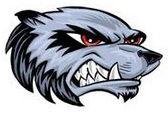 East Webster baseball