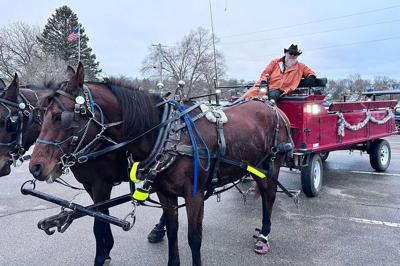 Carriage rides available at Rotary Park's Celebration of Lights | 103.9 ...