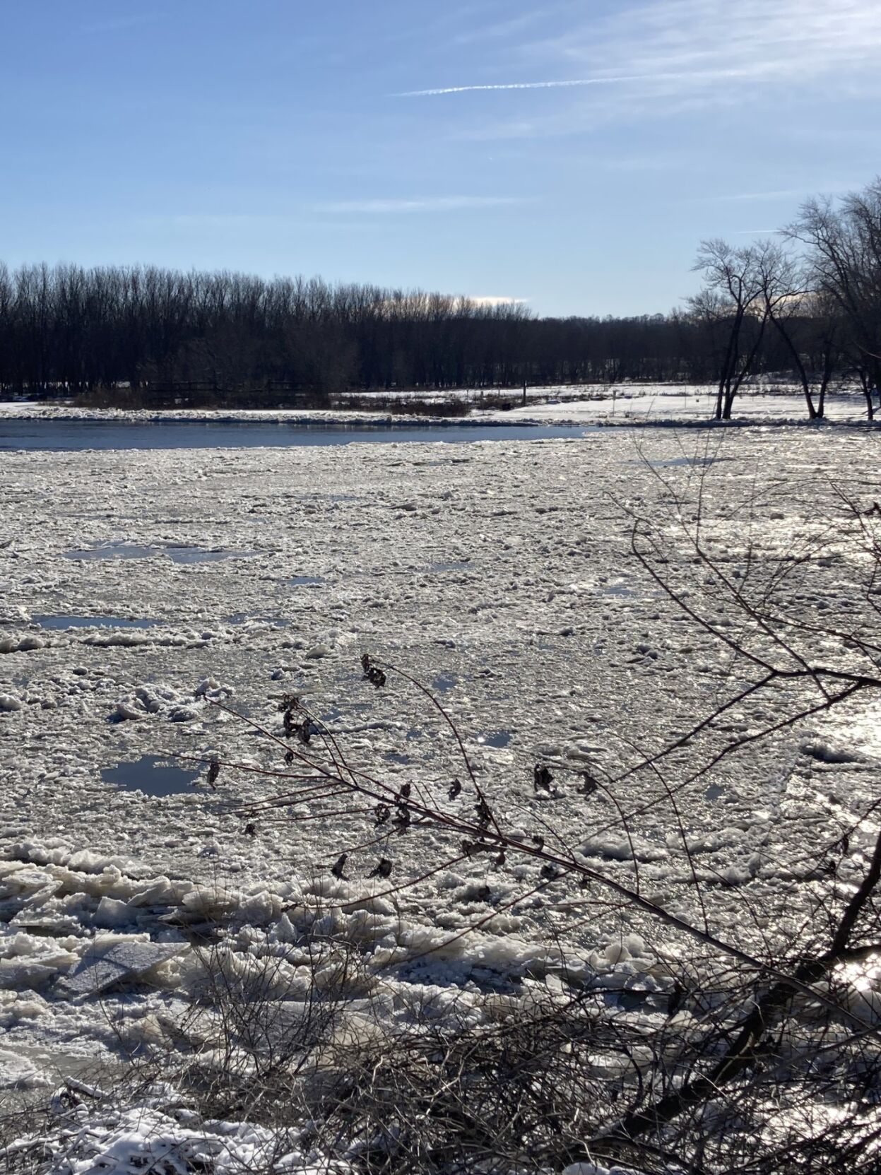 Flood Advisory In Effect For A Stretch Of The Illinois River 103 9   65a81298bcd98.image 