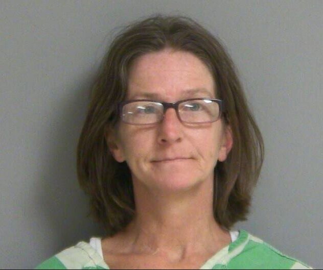 Streator Woman Charged With Multiple Counts Of Dealing Crack Cocaine ...