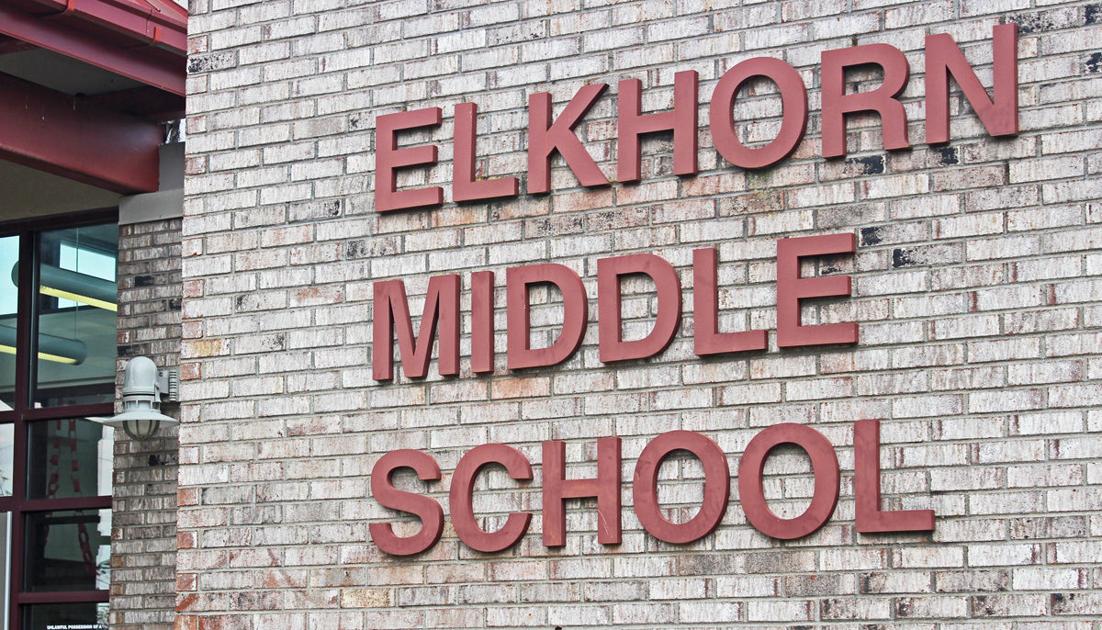 Bat found at Elkhorn Middle sent off for testing Education