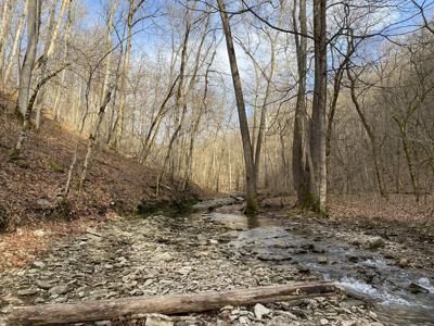 Woods and Waters Land Trust awarded national accreditation renewal