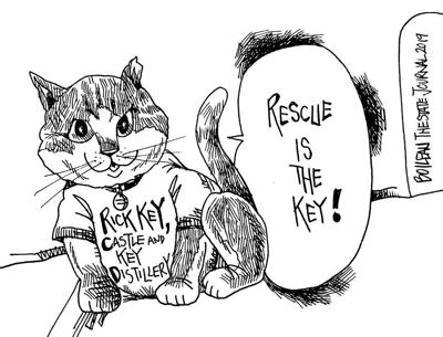 CARTOON: Rescue is the Key