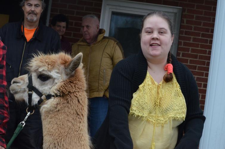 Alpacas put smiles on the faces of Olin Village residents