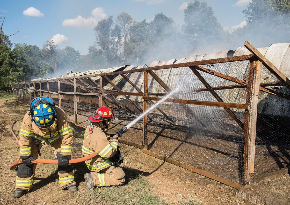 Chicken Farm Fire Galleries