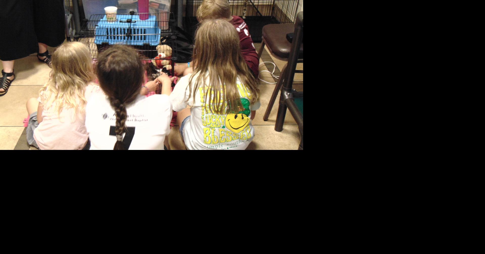 Kitten Shower at Iredell Animal Management showcases animals, mission | Community News