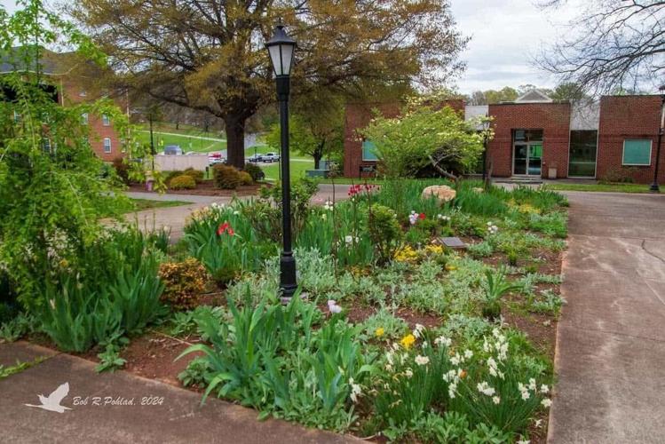 Ferrum College Included in Feature on 12 Most Beautiful Campuses in Virginia