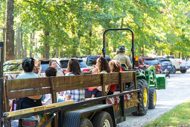 See Virginia's fall colors in a whole new way: Join a ranger-led adventure