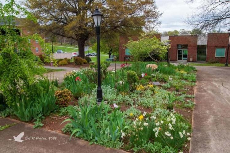 Ferrum College Included in Feature on 12 Most Beautiful Campuses in Virginia