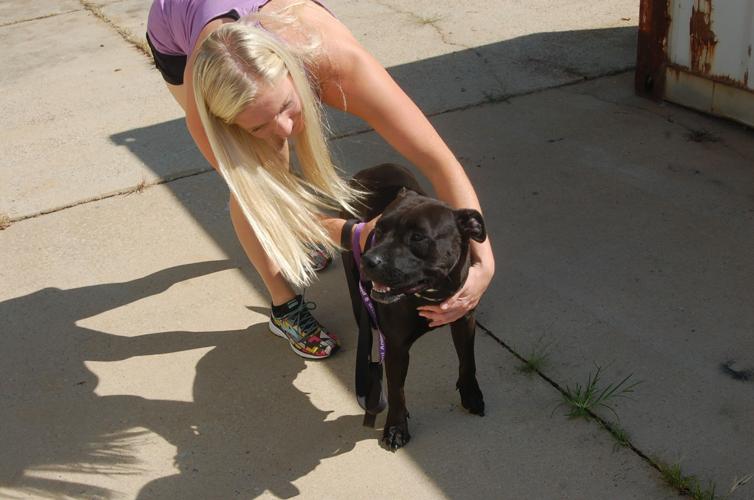 She evacuated to Iredell from South Carolina - and took some time with evacuees of the four-legged variety She evacuated to Iredell from South Carolina - and took some time with evacuees of the four-legged variety