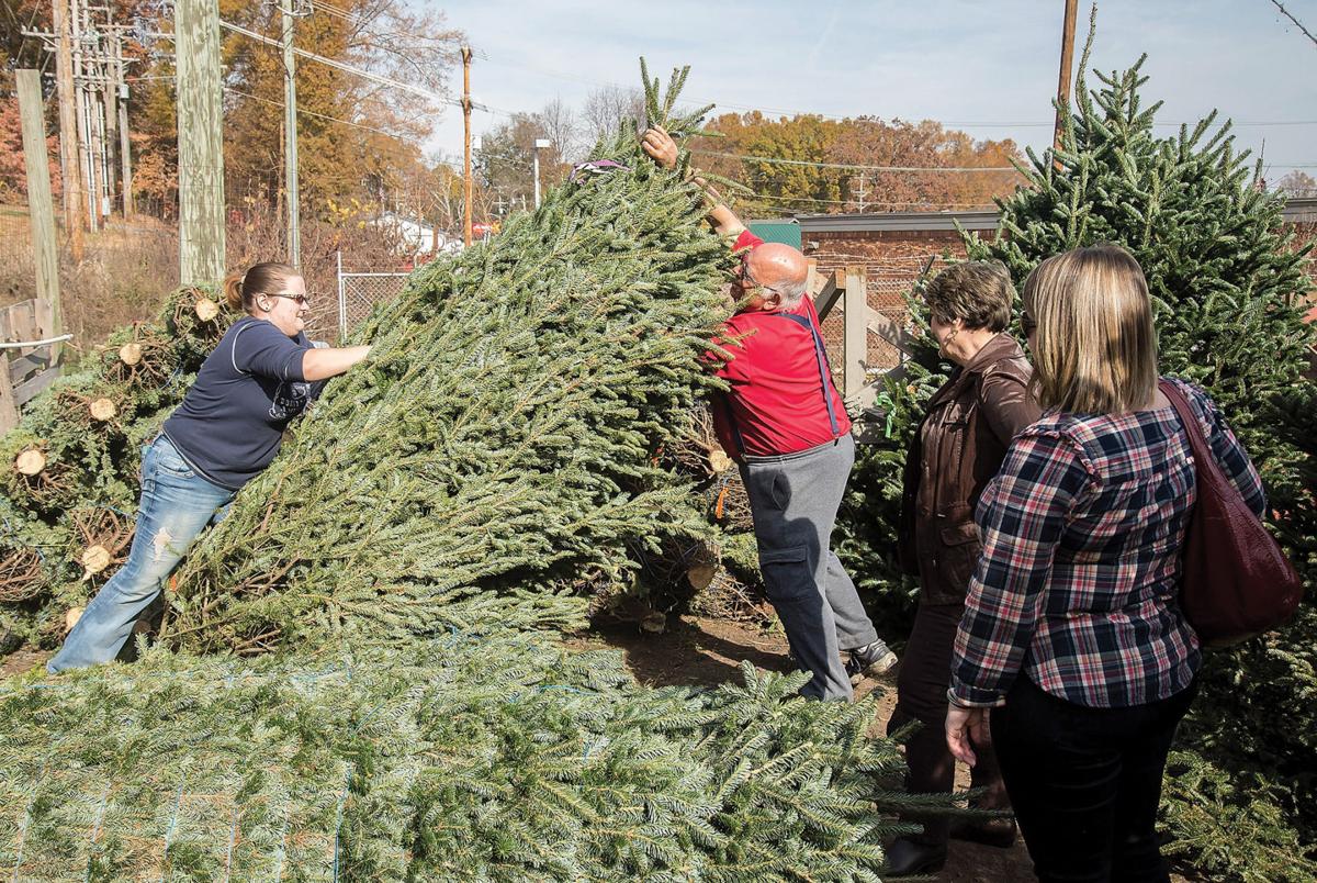 Iredell Sellers Give 5 Tips For Christmas Tree Selection And Care Latest Headlines Statesville Com