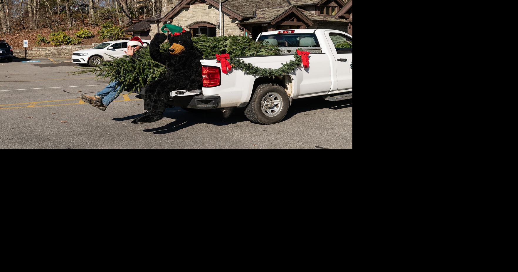 Tree arrival and celebration to kick off holiday season at Grandfather ...