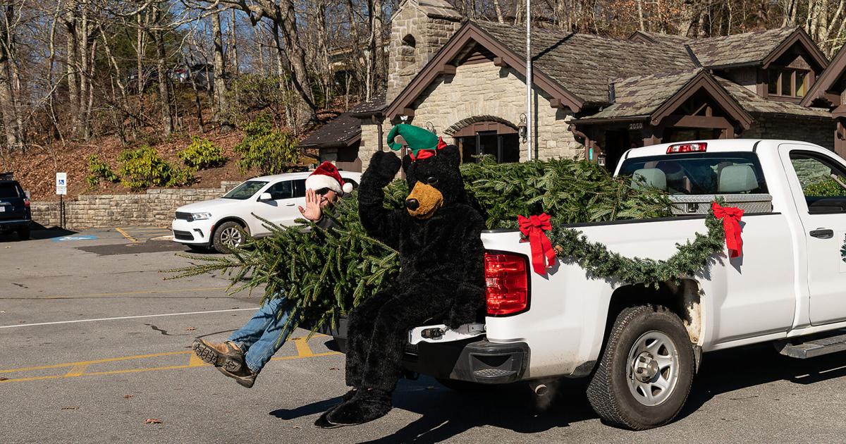 Tree arrival and celebration to kick off holiday season at Grandfather ...