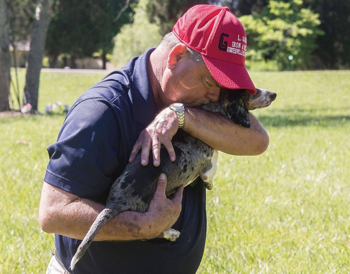 Dog killed in West Iredell coyote attack News