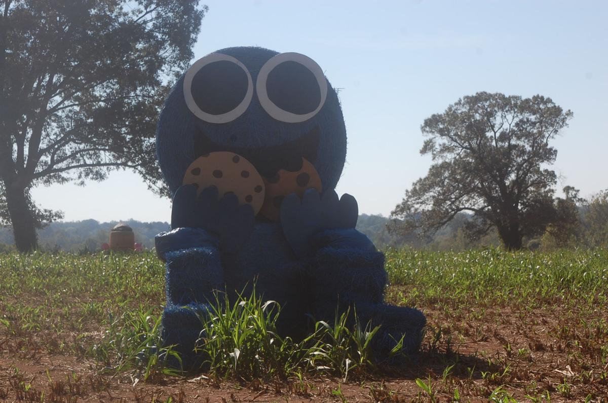 Spooky Characters Hay Bale Art Emerge From Imagination Of Joanne Boyle Local News Statesville Com