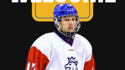 Bobcats Add Power Forward Adam Paleček