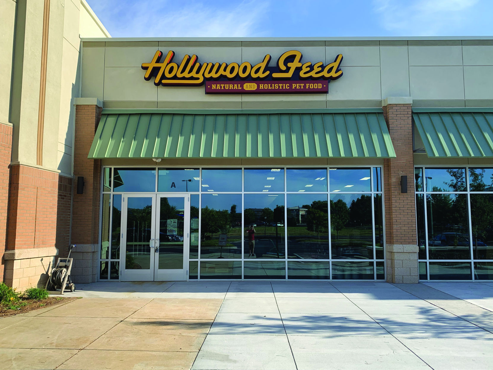 hollywood feed lakewood