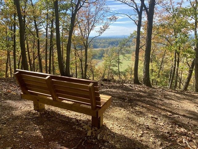 5 things to do in the forest for fall break