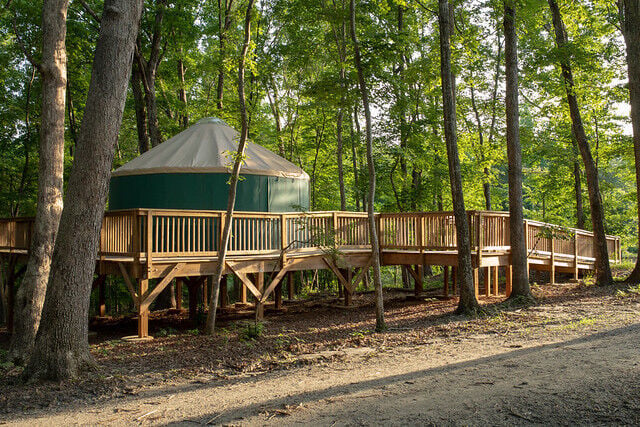 5 things to do in the forest for fall break