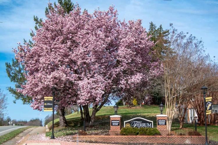Ferrum College Included in Feature on 12 Most Beautiful Campuses in Virginia