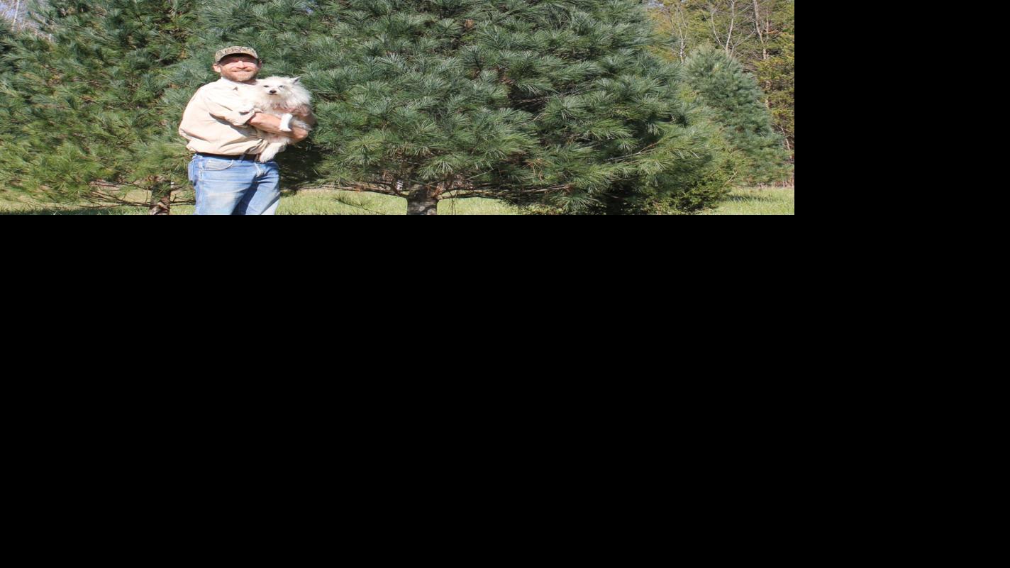 Iredell S Only Cut Your Own Tree Farm Likely In Final Year Latest Headlines Statesville Com