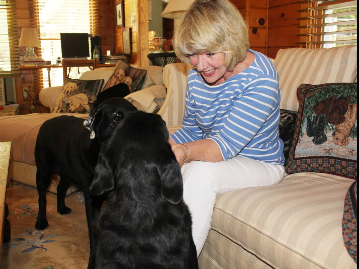 From Military To Champion Dog Breeder Latest Headlines Statesville Com If you are looking for puppies for sale, look no further. statesville record landmark