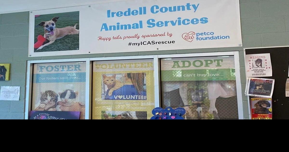 Changes to Iredell County Animal Services ordinance raise questions