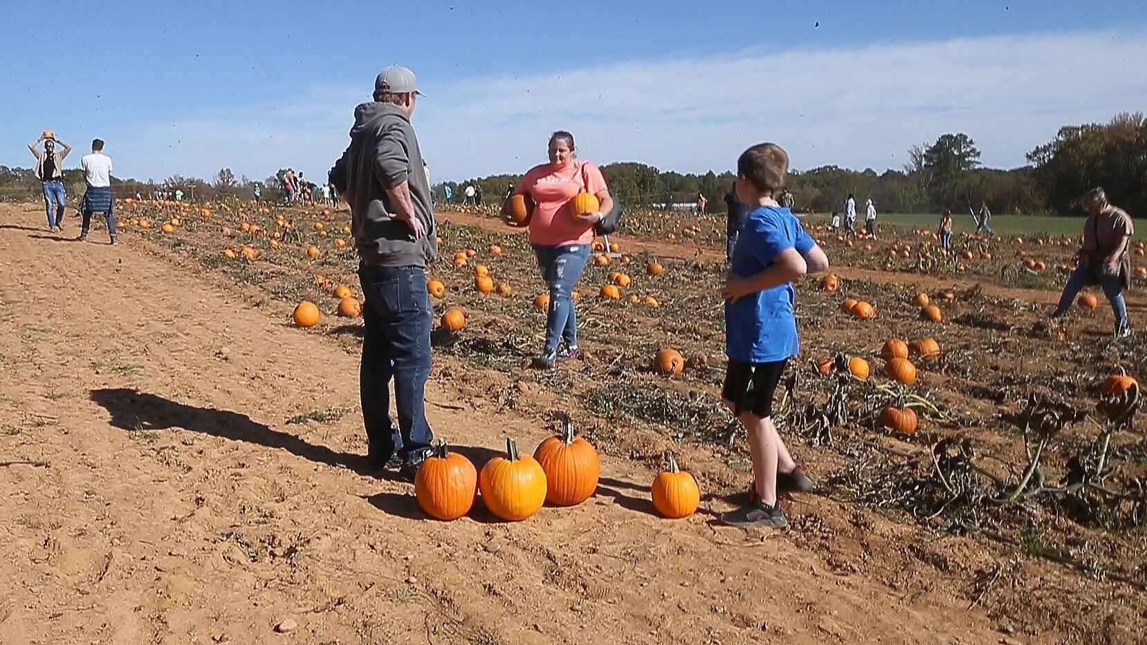 pumpkin patch statesville nc