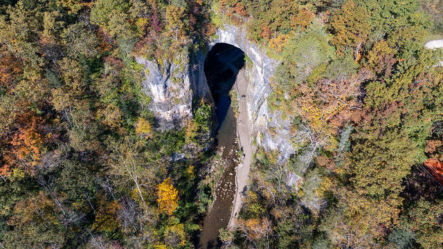 See Virginia's fall colors in a whole new way: Join a ranger-led adventure