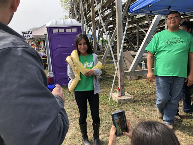 The snakes slithered, a winner was crowned at 47th rattlesnake races