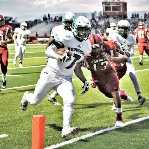 Woodsboro Eagles glide past Premont News