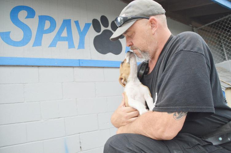 Mathis animal control making big changes to save lives Features