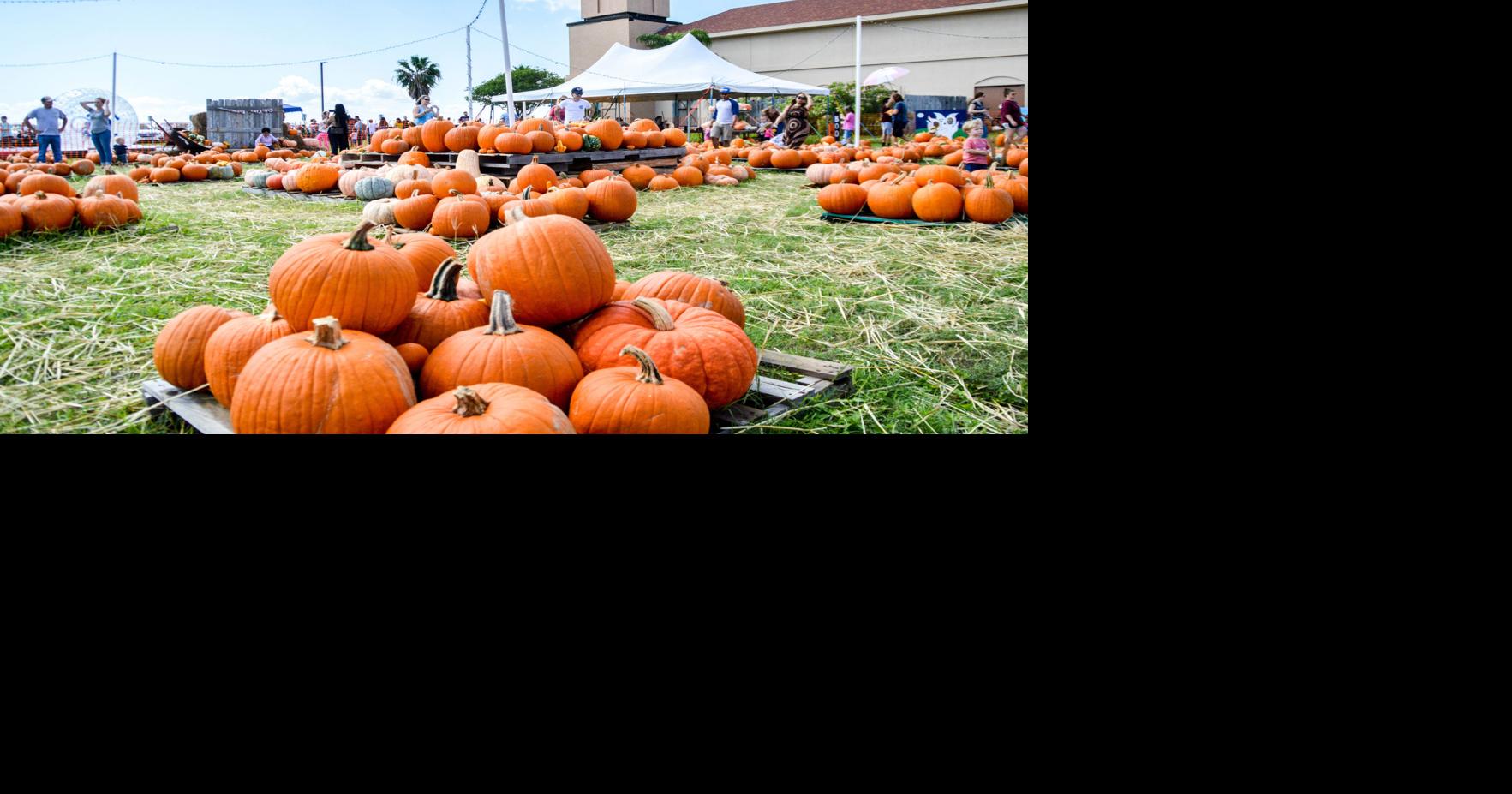 Portland Fall festival beats the heat Entertainment & Society