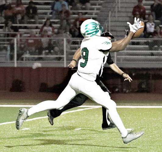 Woodsboro Eagles glide past Premont News