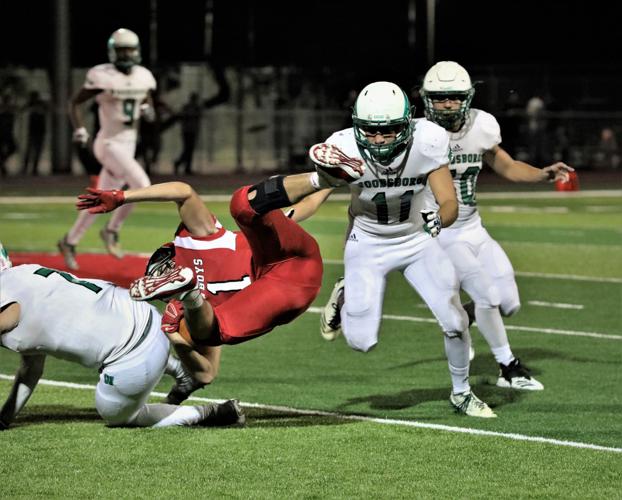 Woodsboro Eagles glide past Premont News