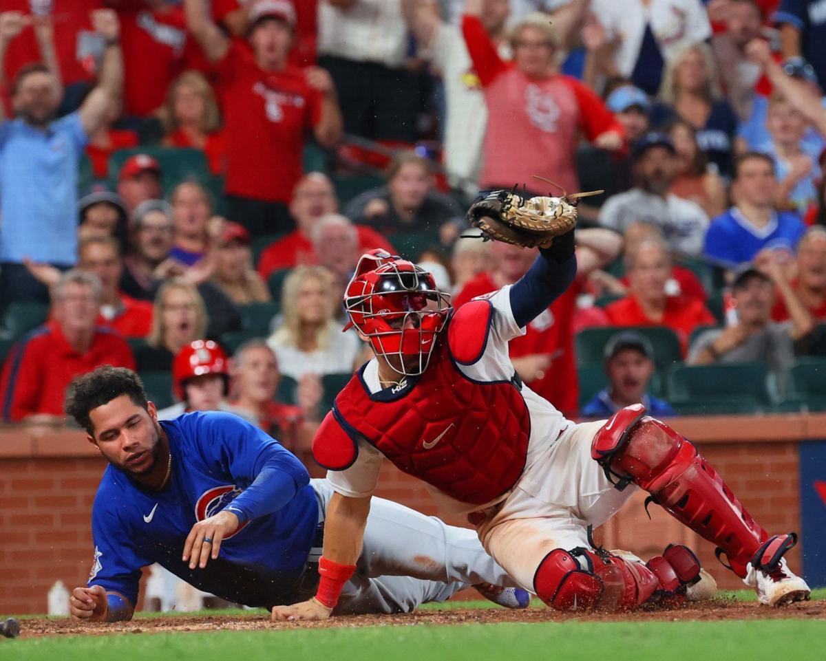 Can Willson Contreras Be the Cardinals' Full-Time Catcher? - Stadium