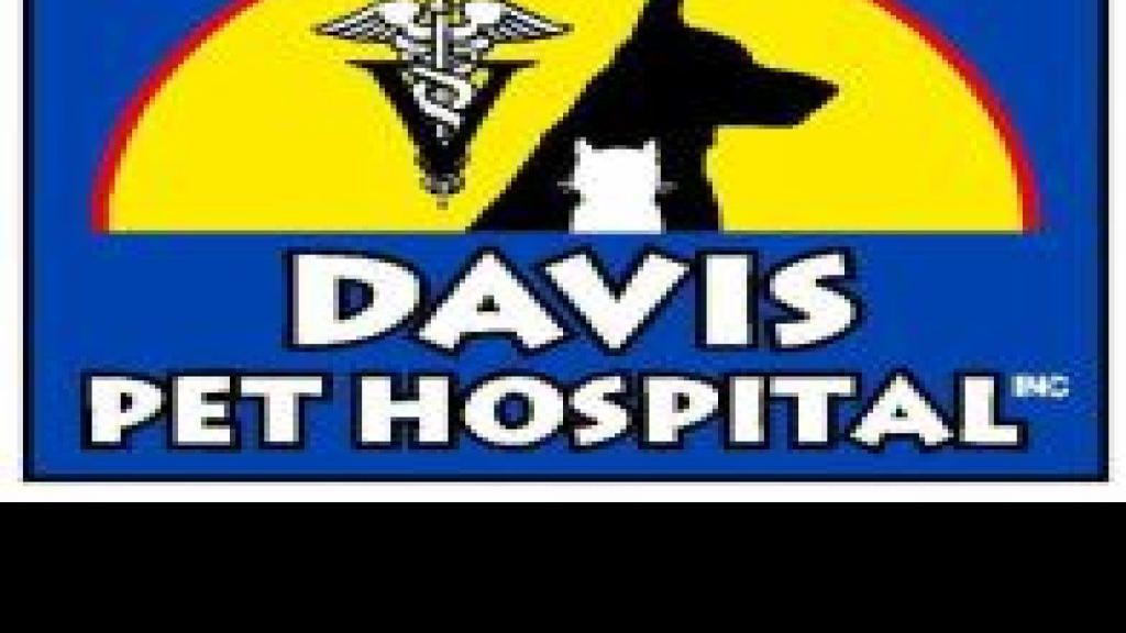 Davis Pet Hospital Veterinarians Collinsville Il Stltoday Com