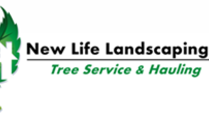 New Life Landscaping, LLC - Tree Service & Hauling Gutter Cleaning New Life Landscaping, LLC - Tree Service & Hauling | gutter cleaning | landscaping | St. Louis, MO | stltoday.com - New Life Landscaping, LLC - Tree Service & Hauling Gutter Cleaning