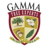 Gamma Tree Experts