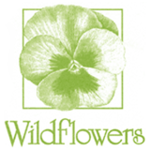 Wildflowers