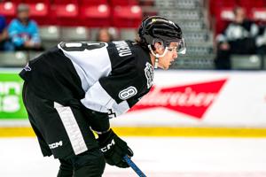 NHL News