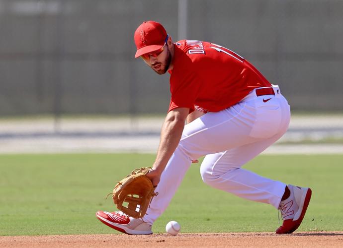 Cardinals shortstop Tommy Edman lauds World Baseball Classic as 'great  experience