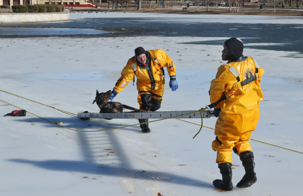 Fire Dept. Rescues dog from lake in O'Fallon Park