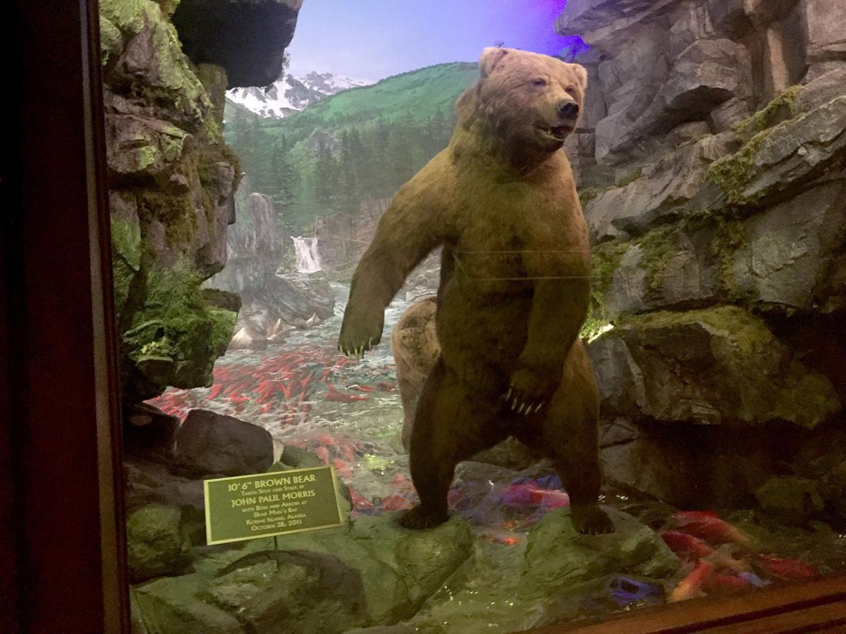 Massive wildlife museum and aquarium opens in Springfield, Mo. - 59cab1Db709b7.image