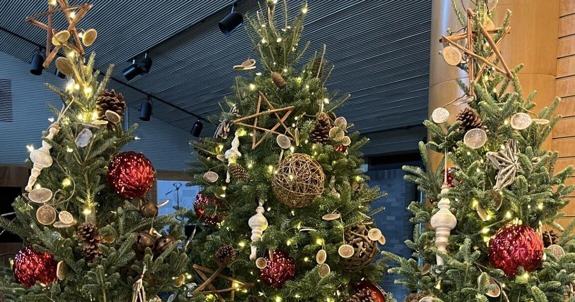 One option for recycling your Christmas tree: use it as mulch