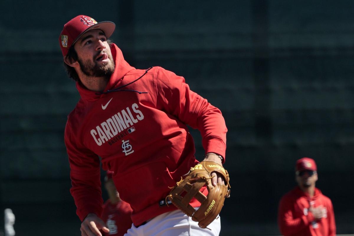 Worthy: Thomas Saggese experiencing the WBC hinders the Cardinals chance to  evaluate