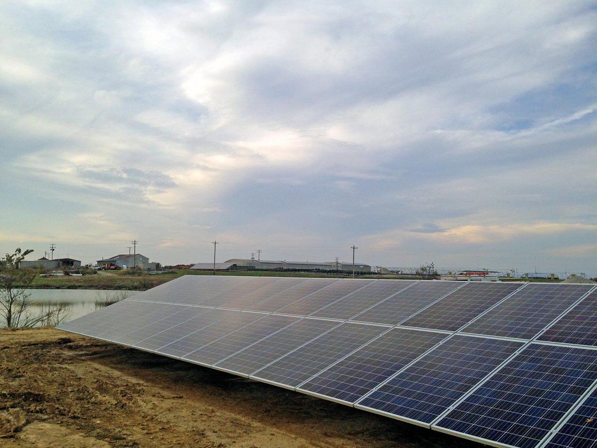 Solar Energy Companies Flocking To Metro East Illinois Solar Energy Companies Flocking To Metro East Illinois
