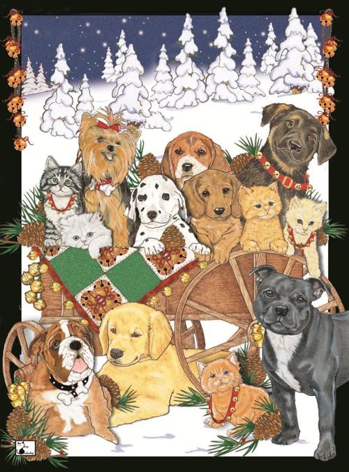 Holiday Card Humane Society Of Missouri Multimedia Stltoday